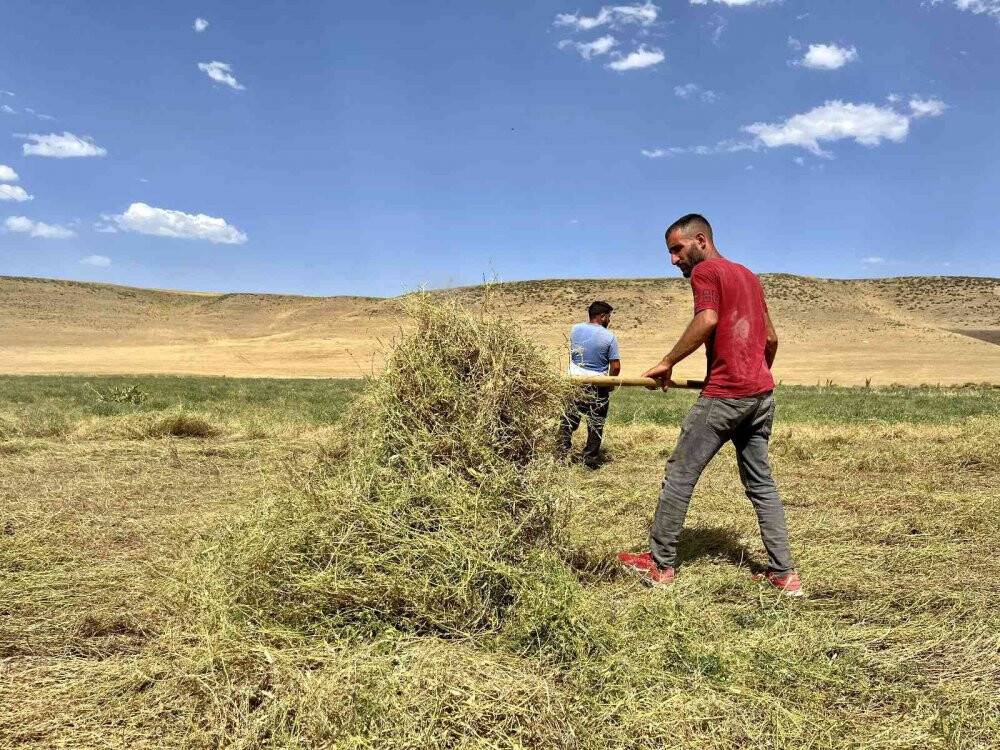 Yağmur bereketinden faydalanan çiftçinin yüzü gülüyor