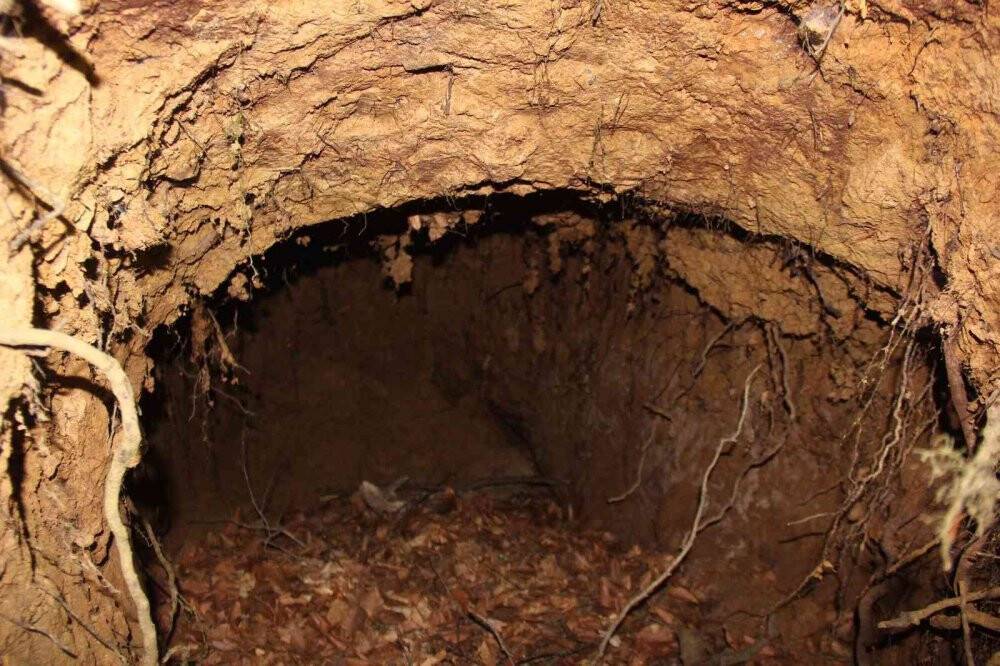 2 bin yıllık tarihe büyük saygısızlık