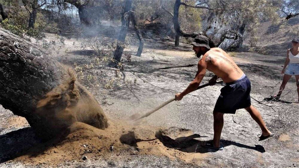 Antalya’da çamlık alandaki yangın kontrol altına alındı