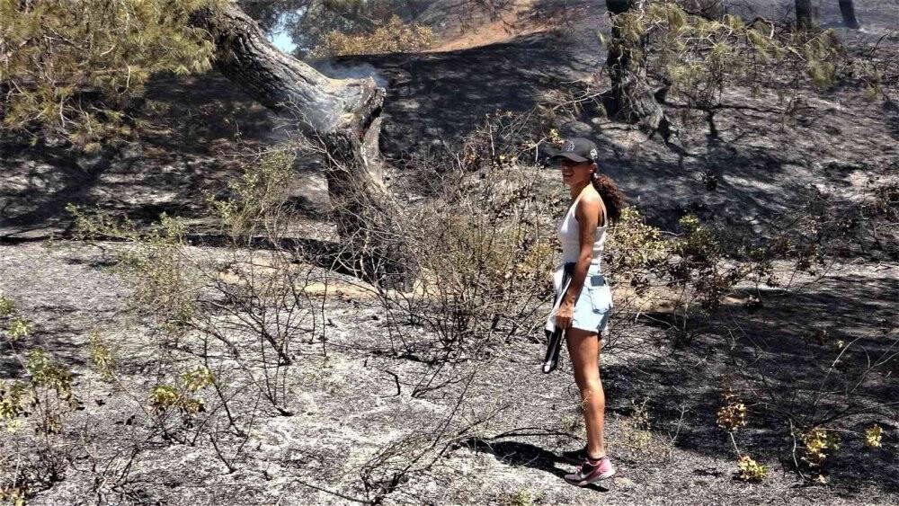 Antalya’da çamlık alandaki yangın kontrol altına alındı