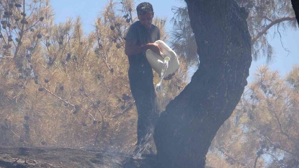 Antalya’da çamlık alandaki yangın kontrol altına alındı