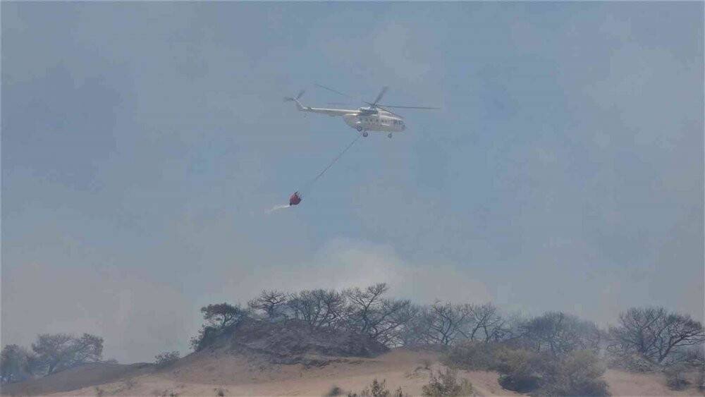 Antalya’da çamlık alandaki yangın kontrol altına alındı