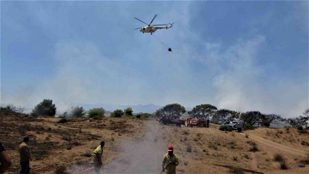 Antalya’da çamlık alandaki yangın kontrol altına alındı