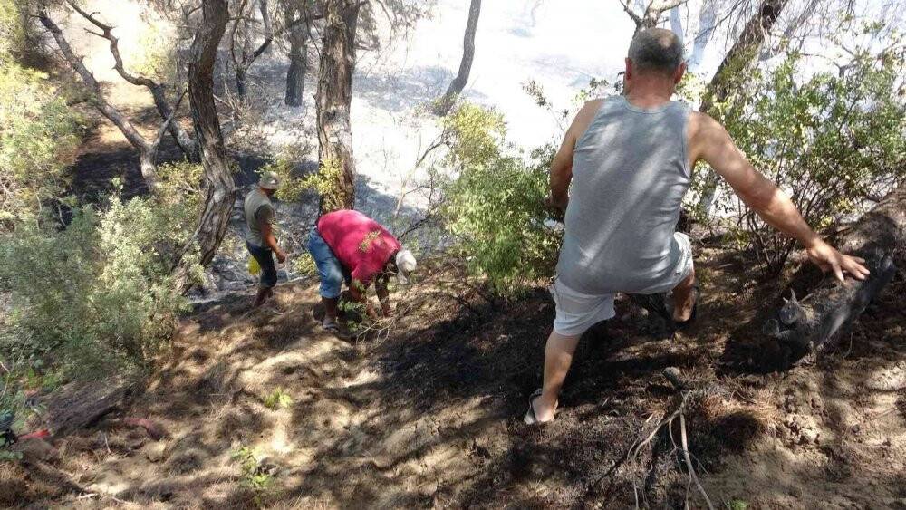 Antalya’da çamlık alandaki yangın kontrol altına alındı