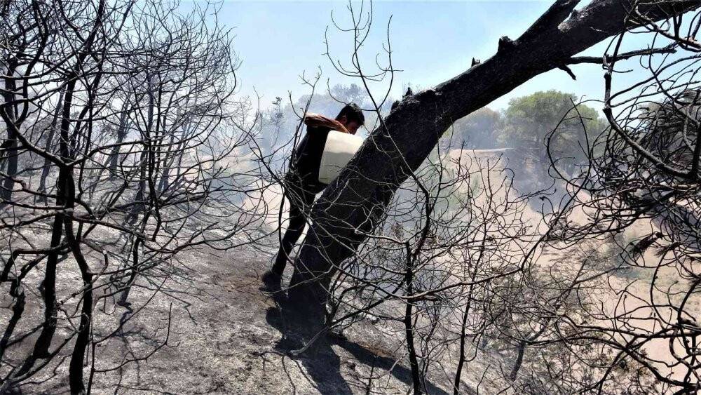 Antalya’da çamlık alandaki yangın kontrol altına alındı