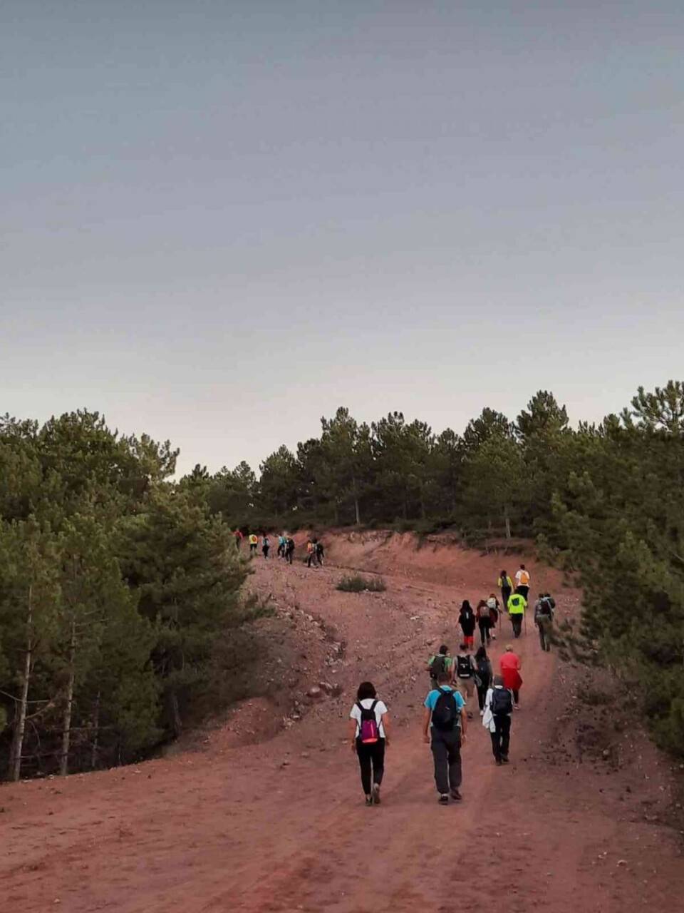 Doğa tutkunları 10 kilometrelik gece yürüyüşü yaptı
