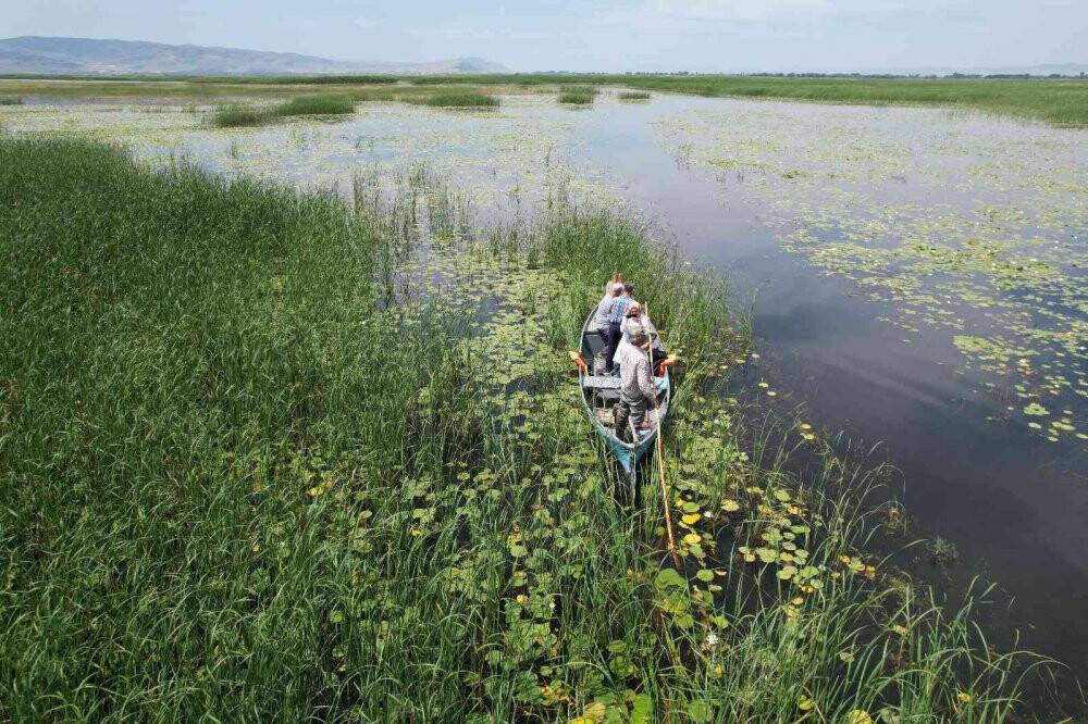 Güzelliğiyle kendine hayran bırakan Işıklı Gölü ziyaretçi akınına uğruyor