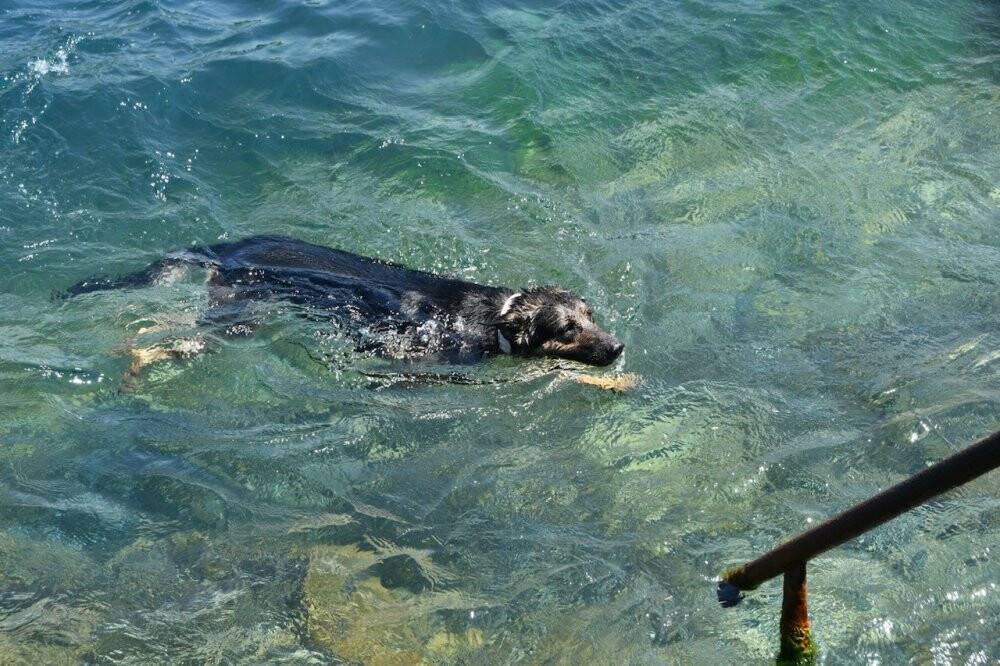 Sıcak havanın tadını sahile akın eden vatandaşlar çıkardı