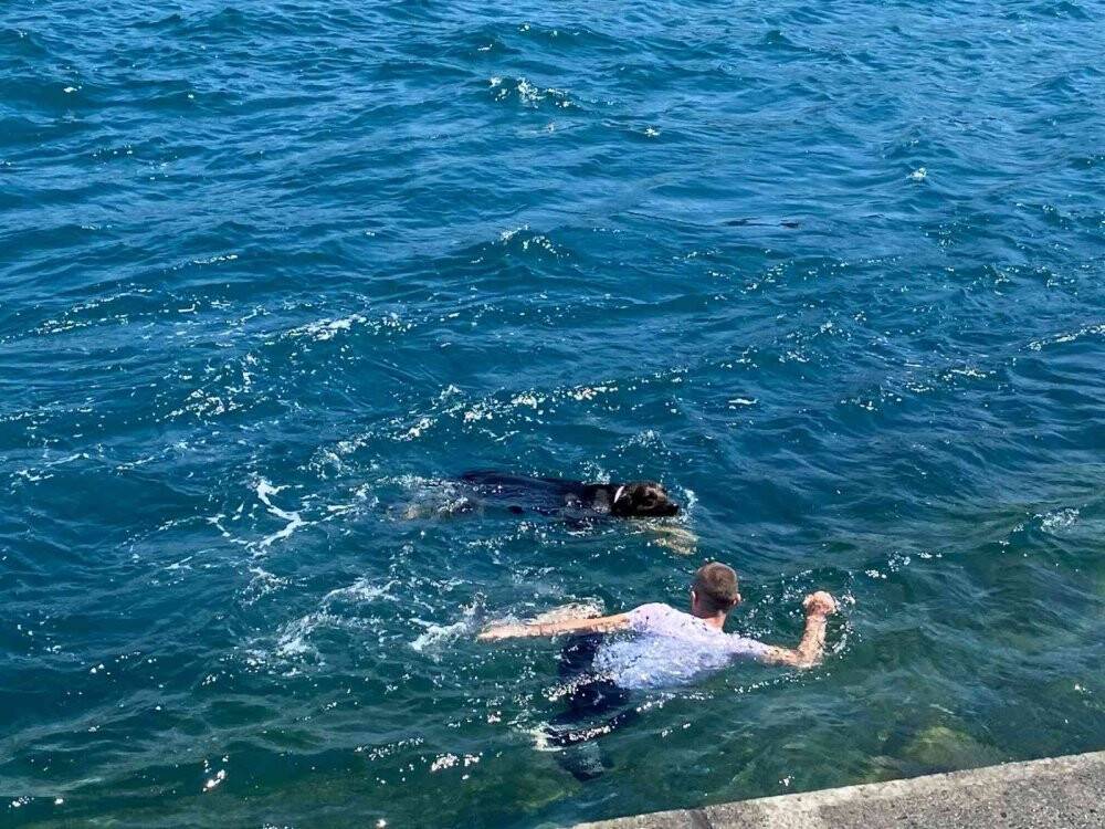 Sıcak havanın tadını sahile akın eden vatandaşlar çıkardı