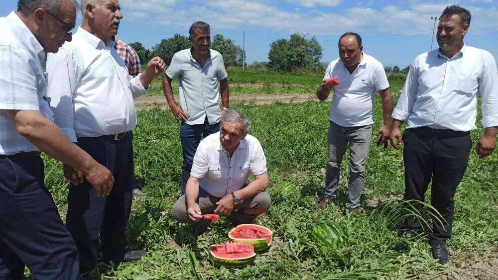 Türkiye’de damakları Bafra karpuzu tatlandırıyor