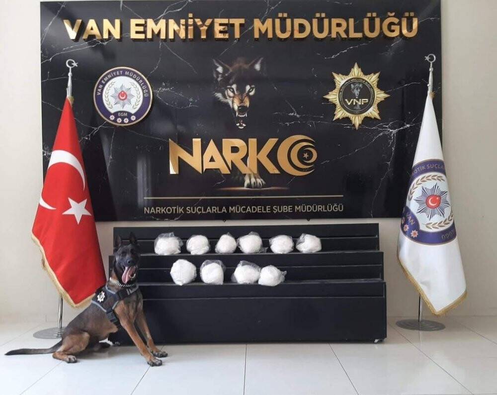 Van’da değişik suçlardan 19 kişi tutuklandı
