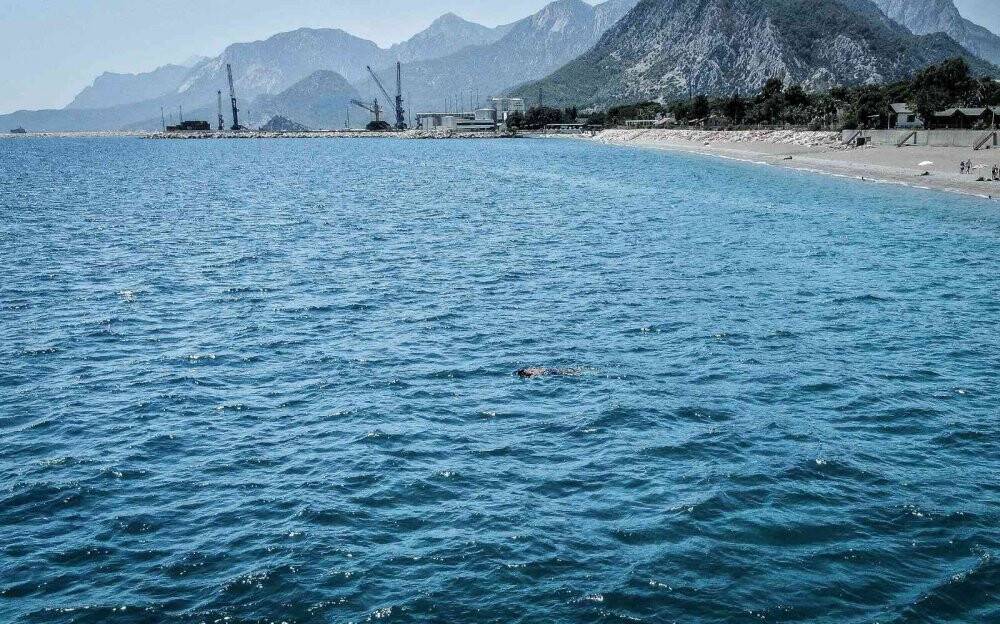 Pandemi işsiz kalan şoförün hayatını değiştirdi, şimdi paraya para demiyor