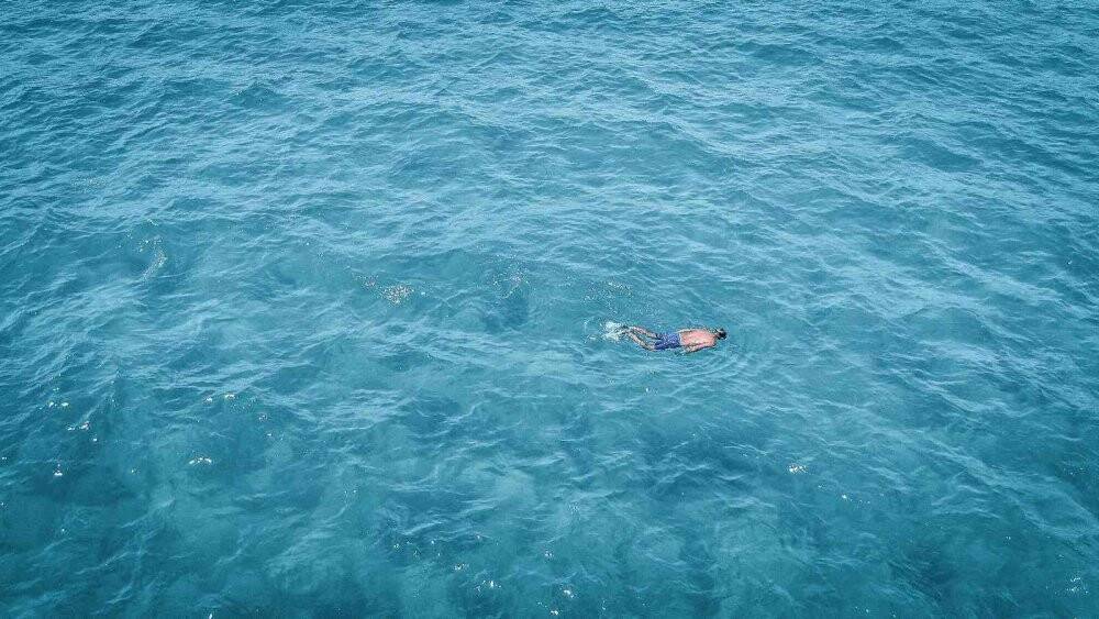 Pandemi işsiz kalan şoförün hayatını değiştirdi, şimdi paraya para demiyor