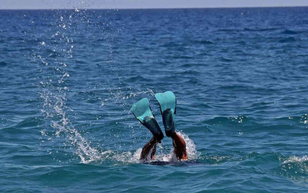 Pandemi işsiz kalan şoförün hayatını değiştirdi, şimdi paraya para demiyor