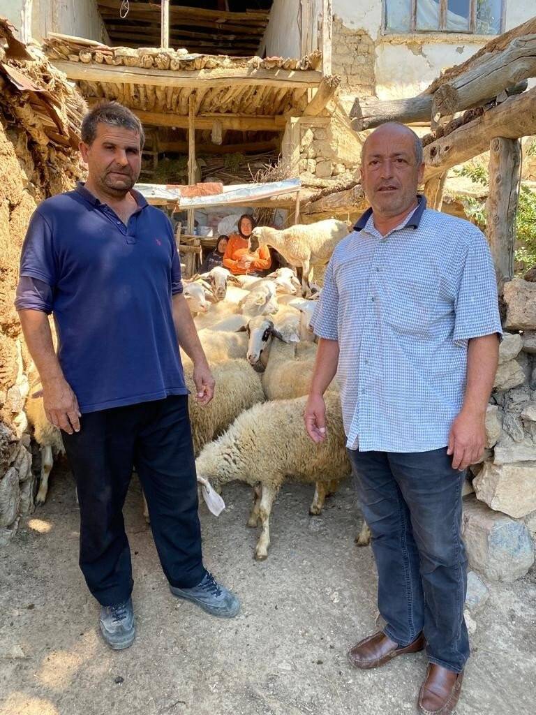 Piyasa değeri yaklaşık 200 bin TL olan hayvanlar üç günde bulundu