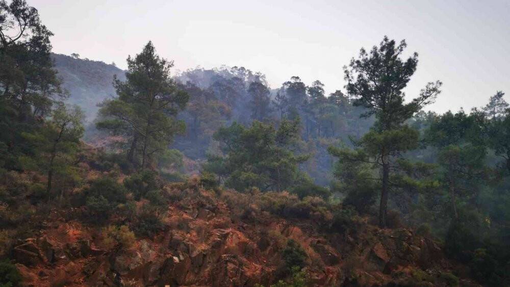 Marmaris’teki orman yangını kontrol altına alındı