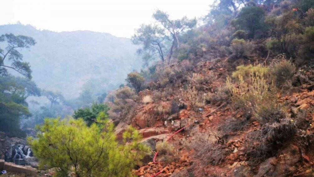 Marmaris’teki orman yangını kontrol altına alındı
