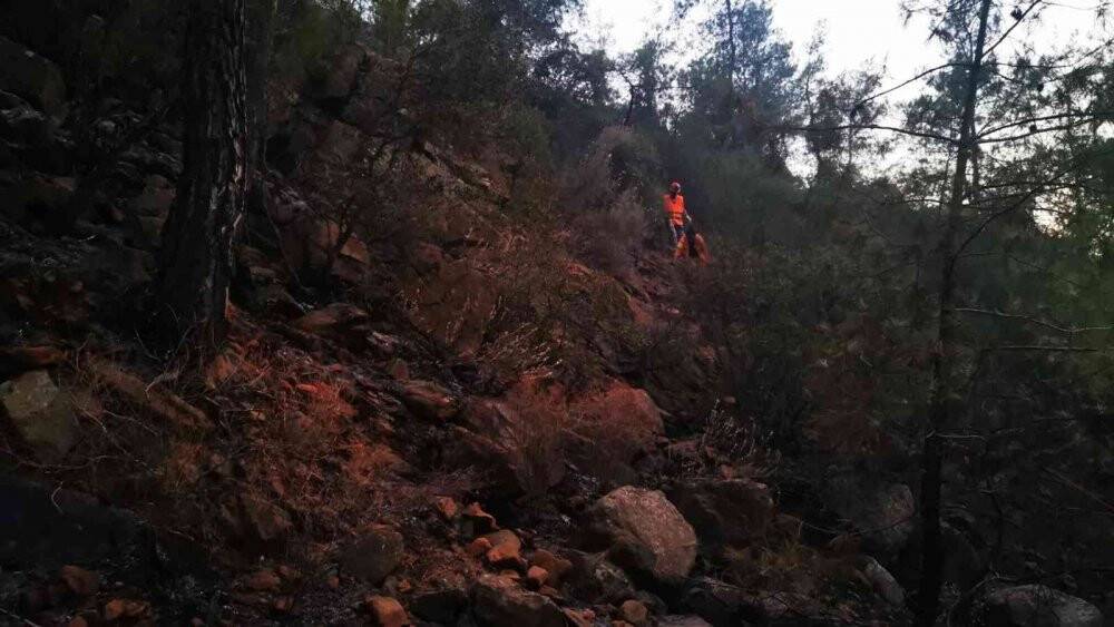 Marmaris’teki orman yangını kontrol altına alındı