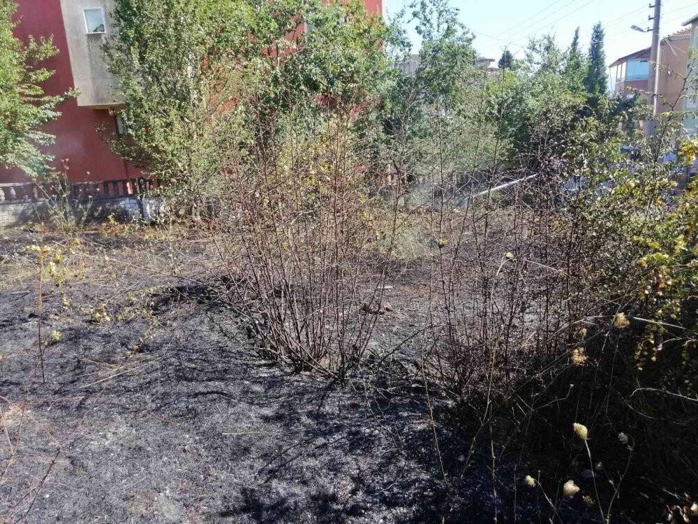 Alevlerin arasında kalan kaplumbağayı itfaiye kurtardı