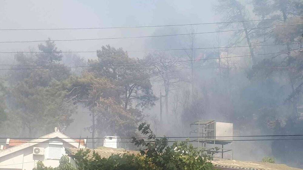 Marmaris’te orman yangını