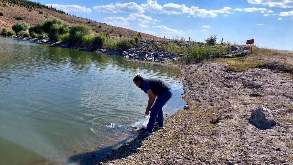 Baraj ve göletlere 25 bin yavru balık bırakıldı