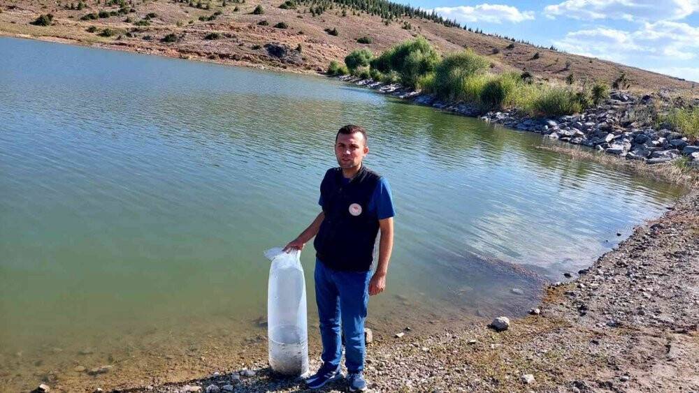 Baraj ve göletlere 25 bin yavru balık bırakıldı