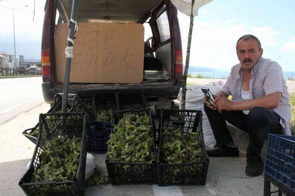 Yeni sezon fındığı yol kenarlarında satışa çıktı