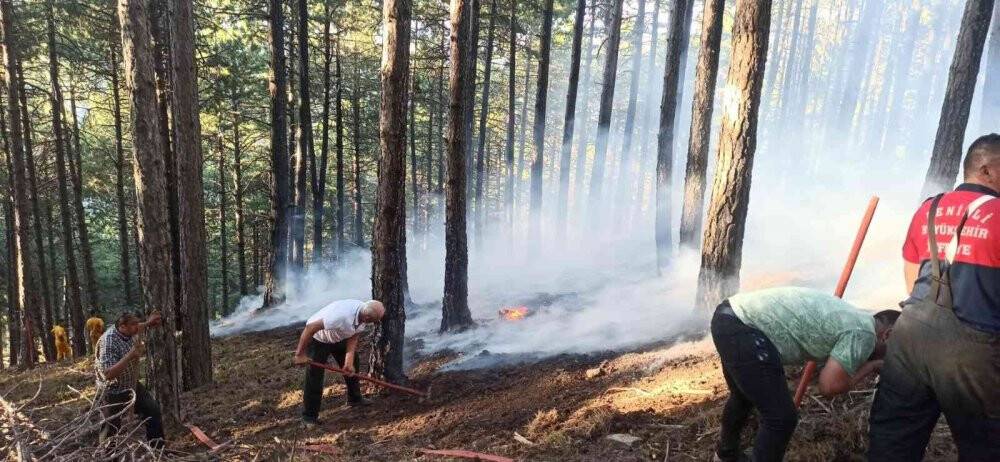 Aynı bölgede çıkan 2. yangın büyümeden söndürüldü