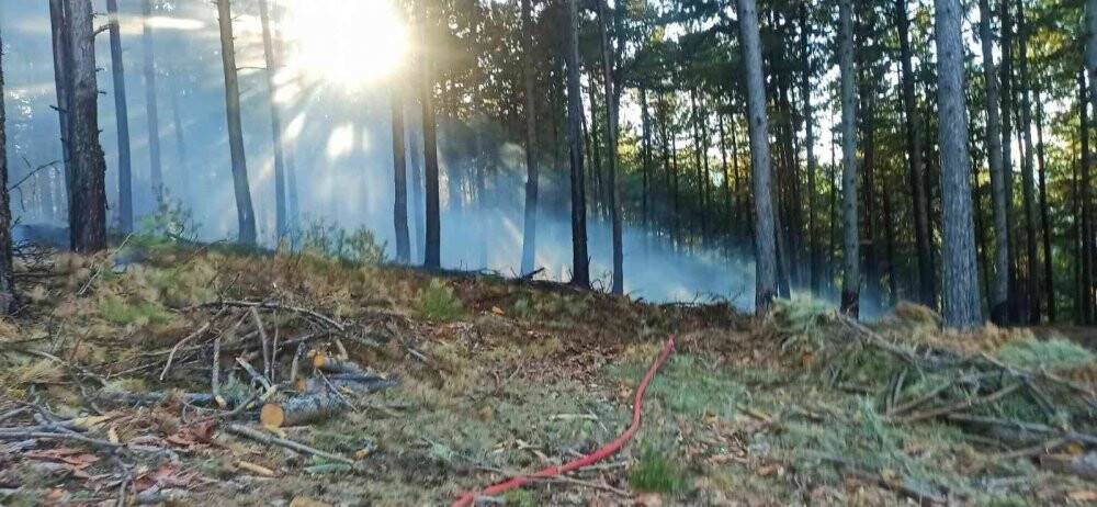 Aynı bölgede çıkan 2. yangın büyümeden söndürüldü