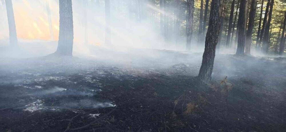 Aynı bölgede çıkan 2. yangın büyümeden söndürüldü