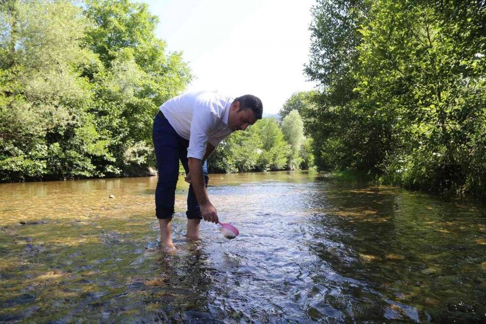 Gümüşhane’de 5 bin yavru alabalık derelere bırakıldı