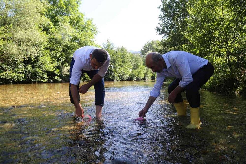 Gümüşhane’de 5 bin yavru alabalık derelere bırakıldı