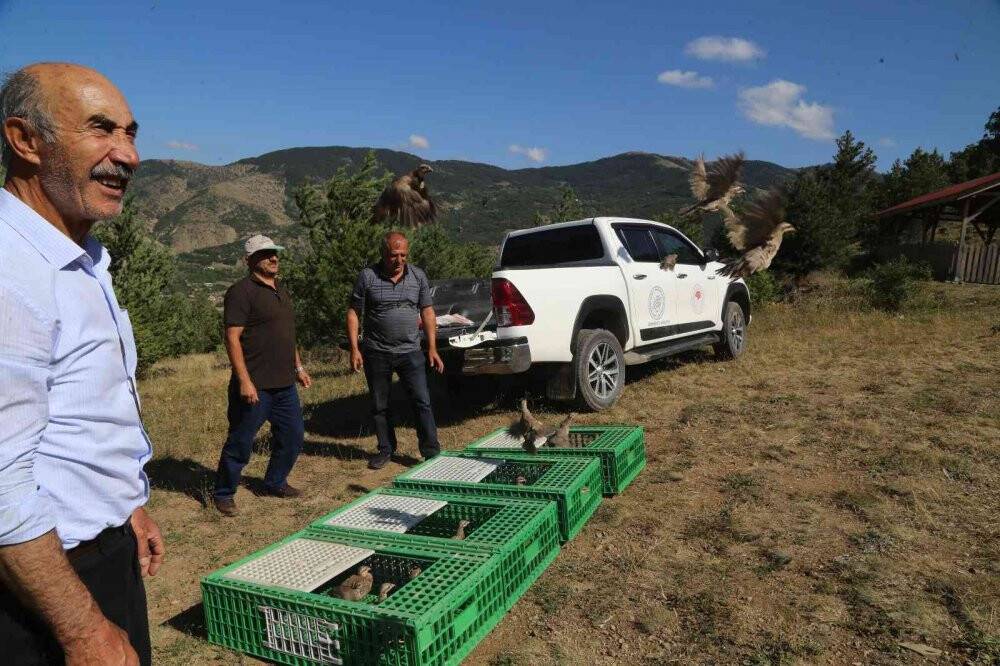 Gümüşhane’de 5 bin yavru alabalık derelere bırakıldı