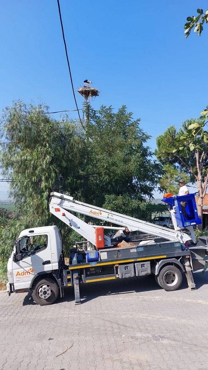 Sıcaklar leylekleri de etkiledi, doğaseverler leylekler için harekete geçti