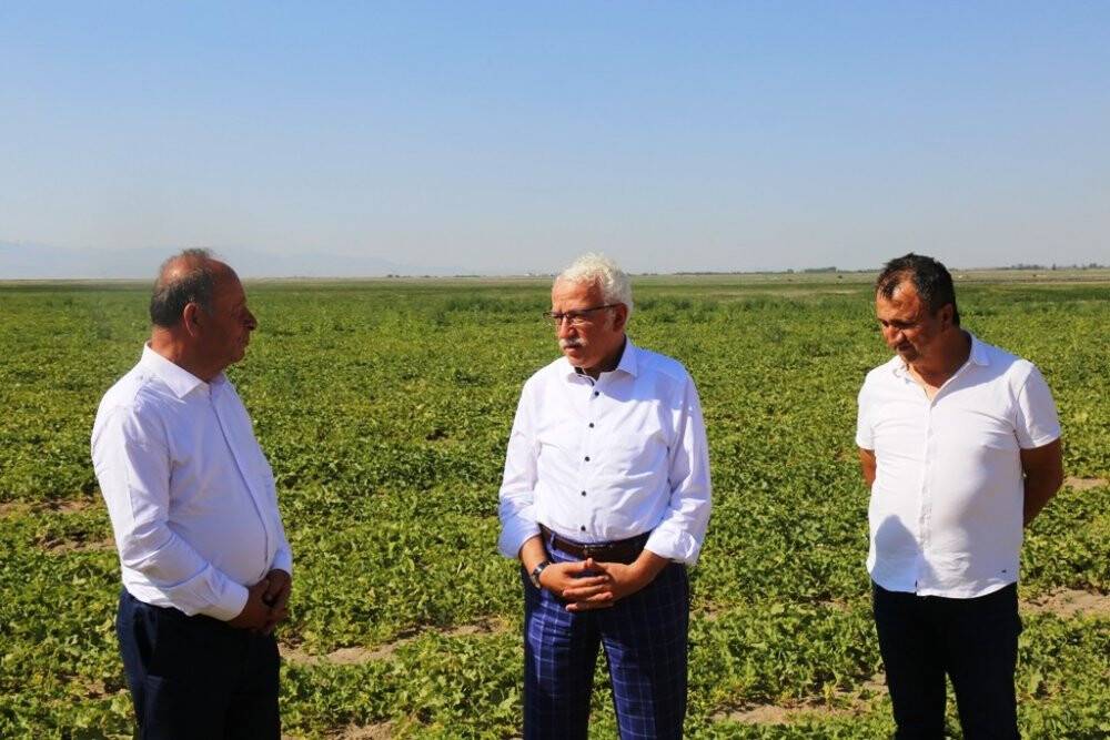 Başkan Oprukçu ve Rektör Zorlu Organik Tarım Projesi’ni inceledi