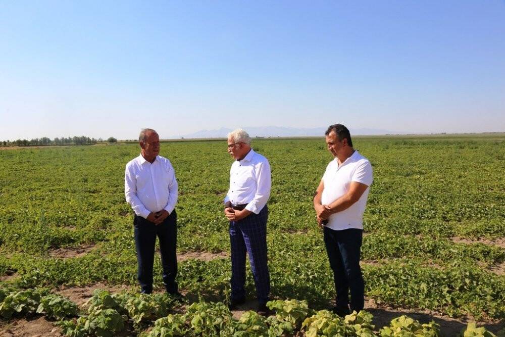 Başkan Oprukçu ve Rektör Zorlu Organik Tarım Projesi’ni inceledi