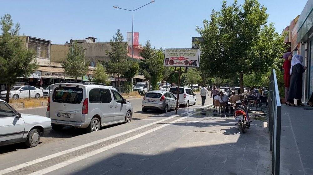 Batman’da sokak köpekleri küçük kıza saldırdı