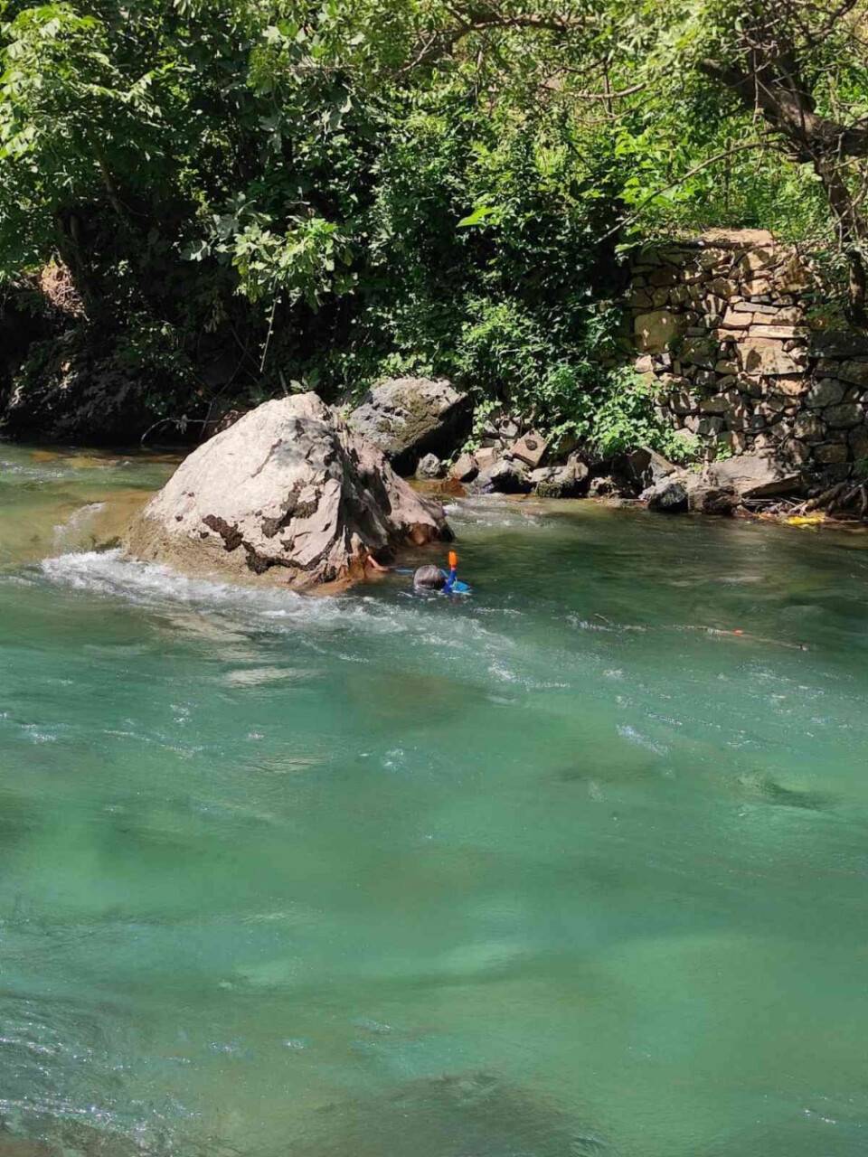 Kayıp hemşireyi arama çalışmaları 53’üncü gününde