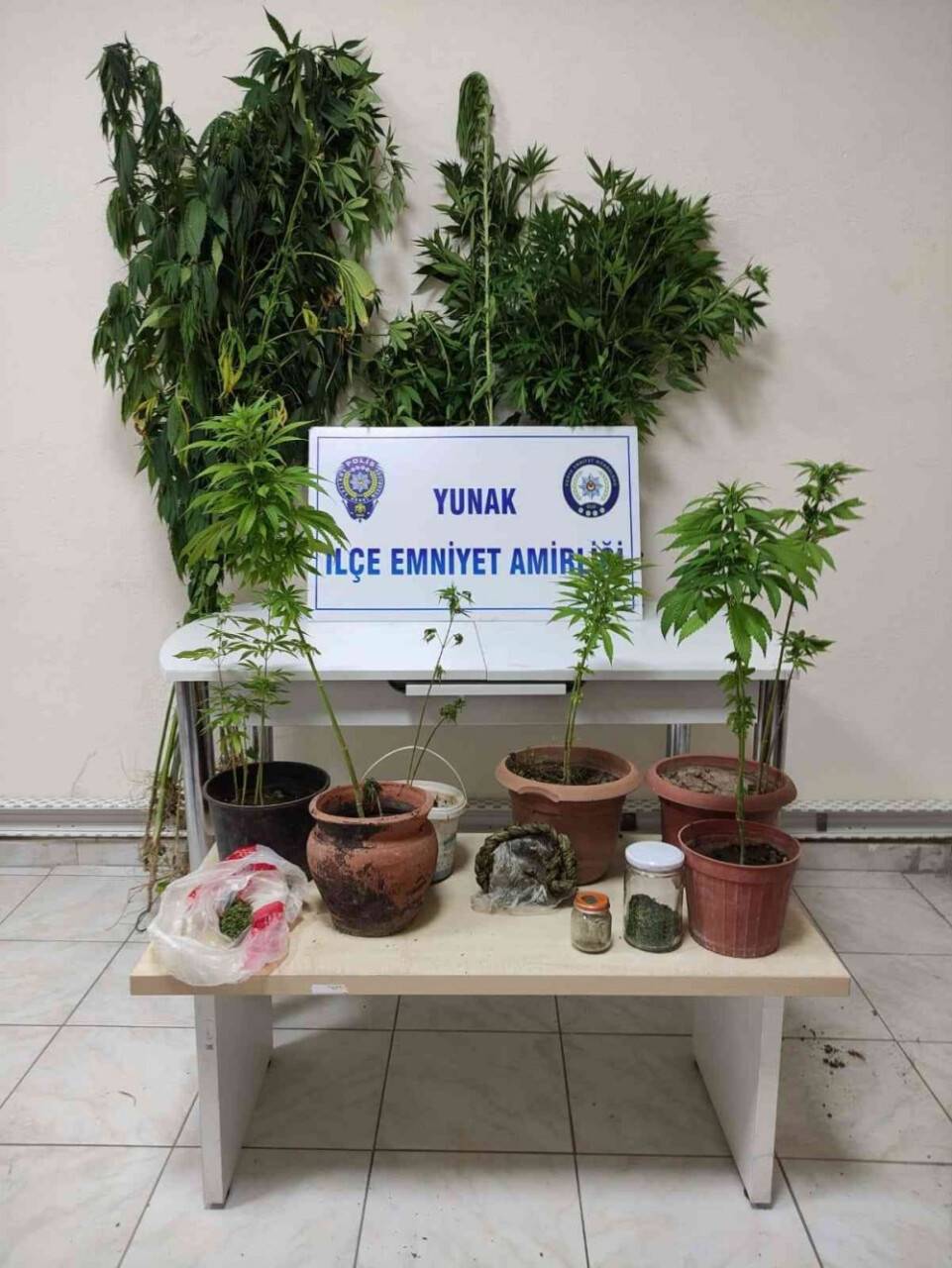 Konya’da evde saksıda uyuşturucu yetiştiren şüpheli tutuklandı