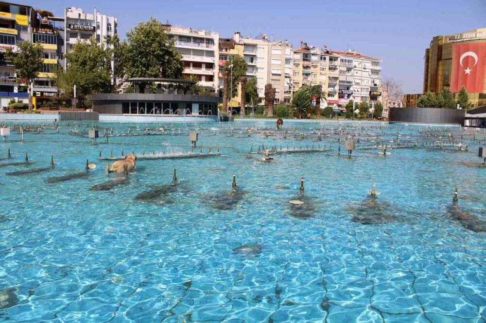 Aydın’da sıcaktan bunalan köpeğin havuz keyfi