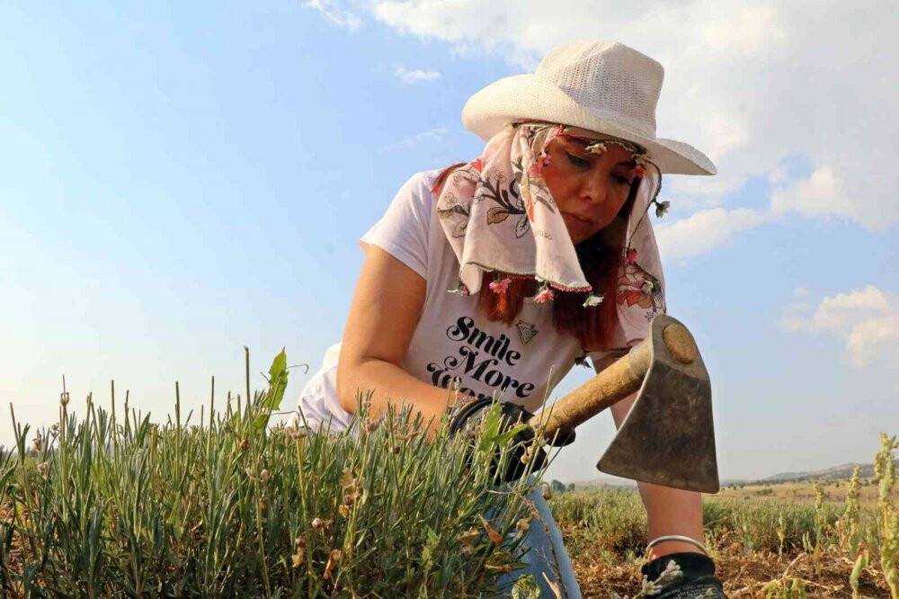 ABD’de savaş uzmanlığını bıraktı, dedesinden kalan topraklarda çiftçilik yapıyor