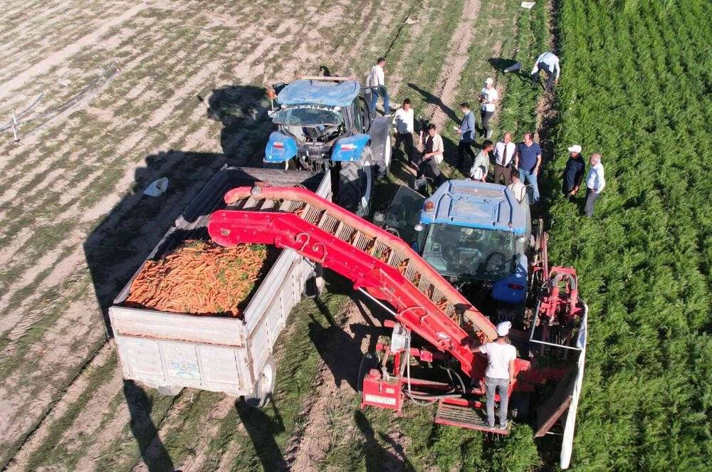 Başkan Altay  havuç hasadına katıldı