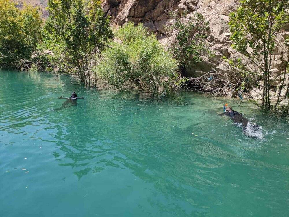 Kayıp hemşireden 54 gündür haber alınamıyor