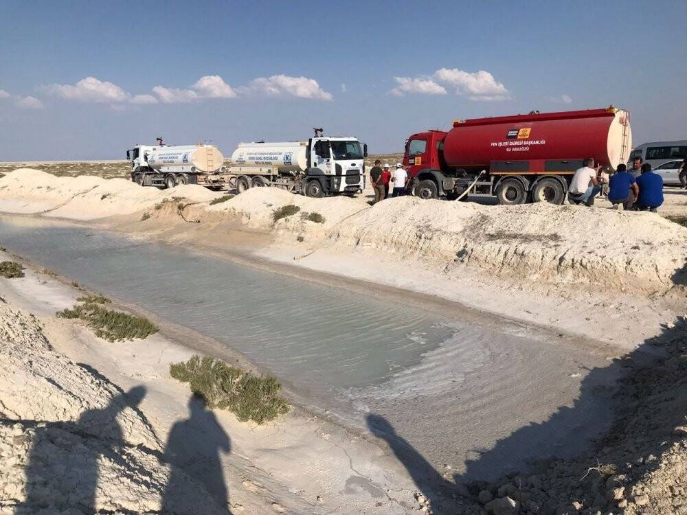 Yavrulamak için Tuz Gölü’ne gelen flamingolara can suyu