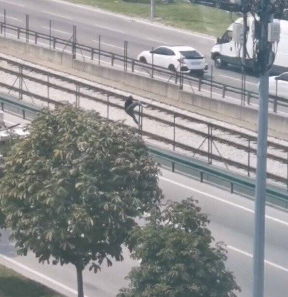 Yolun karşısına geçmek için canını hiçe saydı