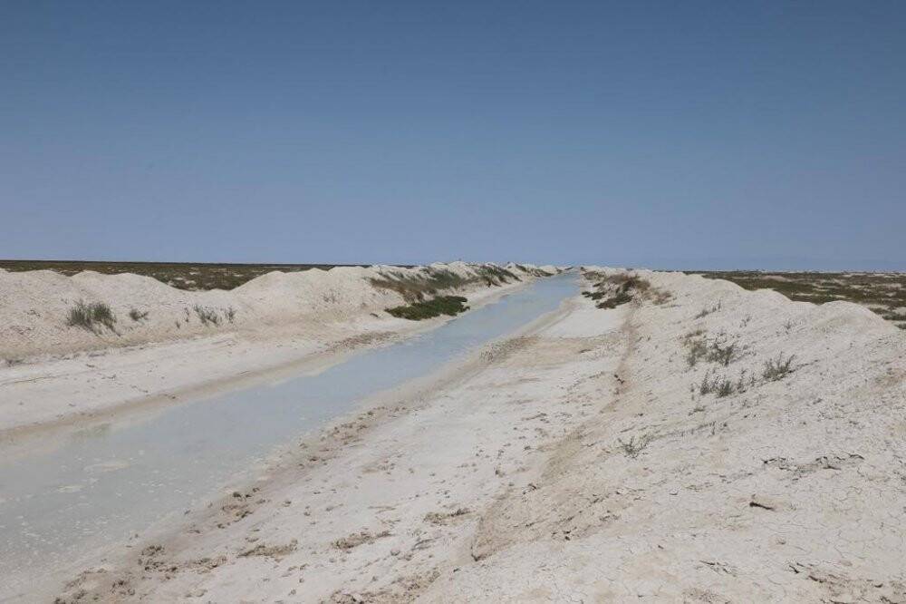 Bakan Kurum: “Tek bir flamingo yavrusunu bile kaybetmemek için var gücümüzle çalışıyoruz”