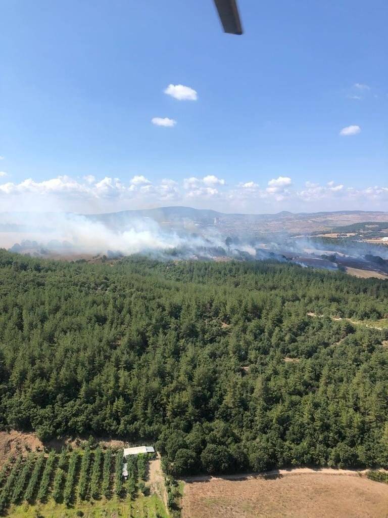 Çanakkale’de orman yangını