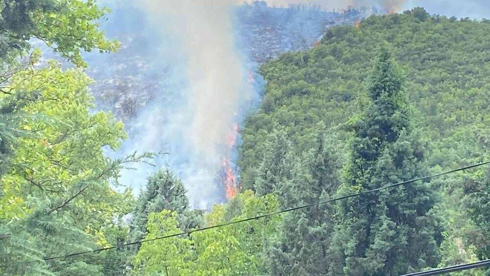 Ormanlık alanda çıkan yangına müdahale sürüyor
