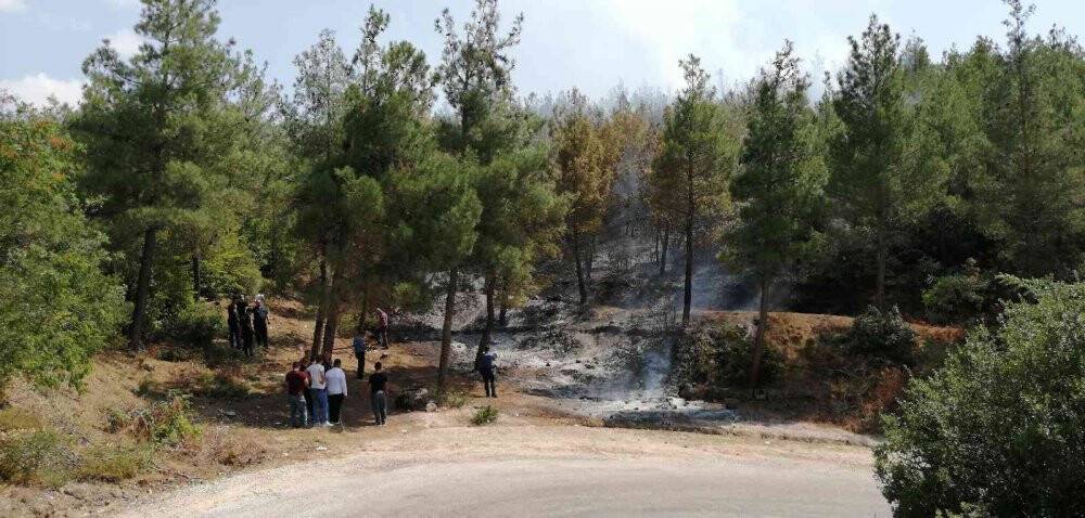 Tokat’ta orman yangını