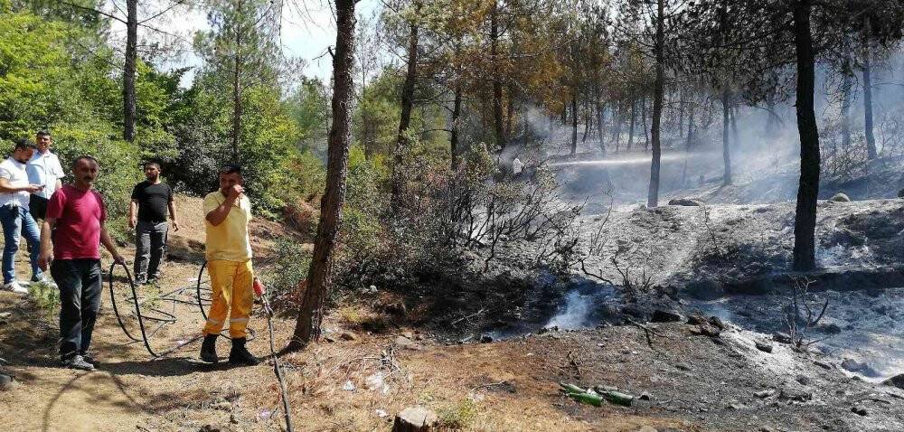 Tokat’ta orman yangını